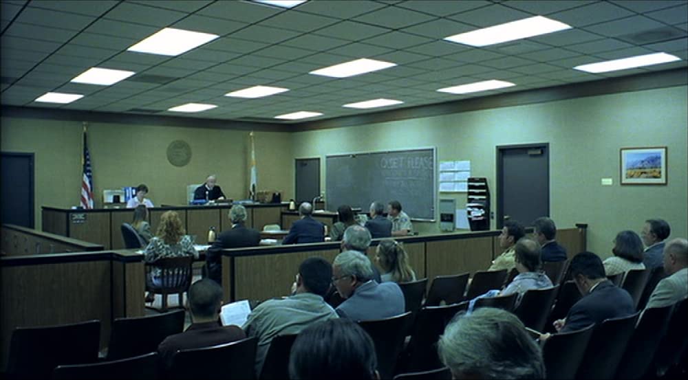 エリン・ブロコビッチの画像