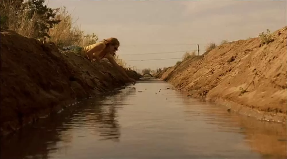 エリン・ブロコビッチの画像