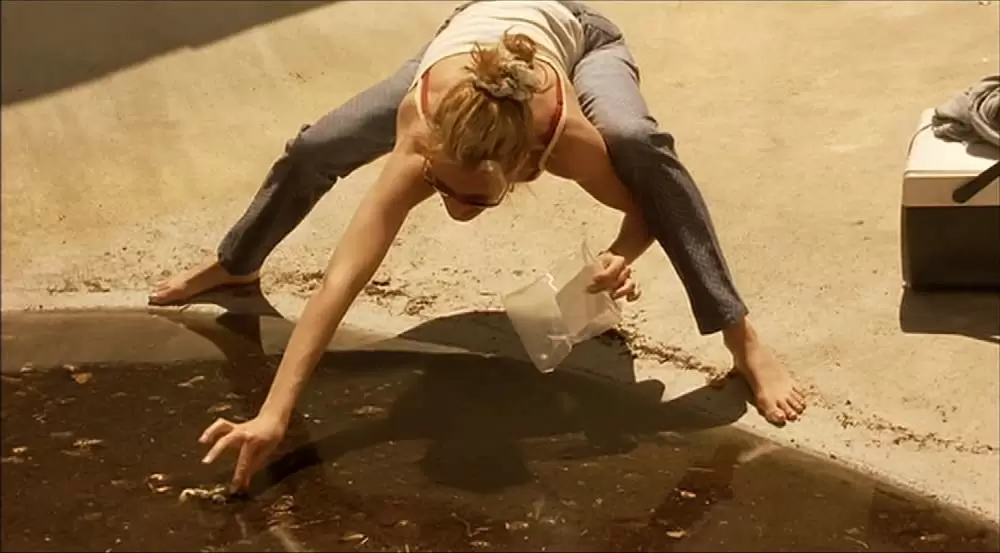 エリン・ブロコビッチの画像