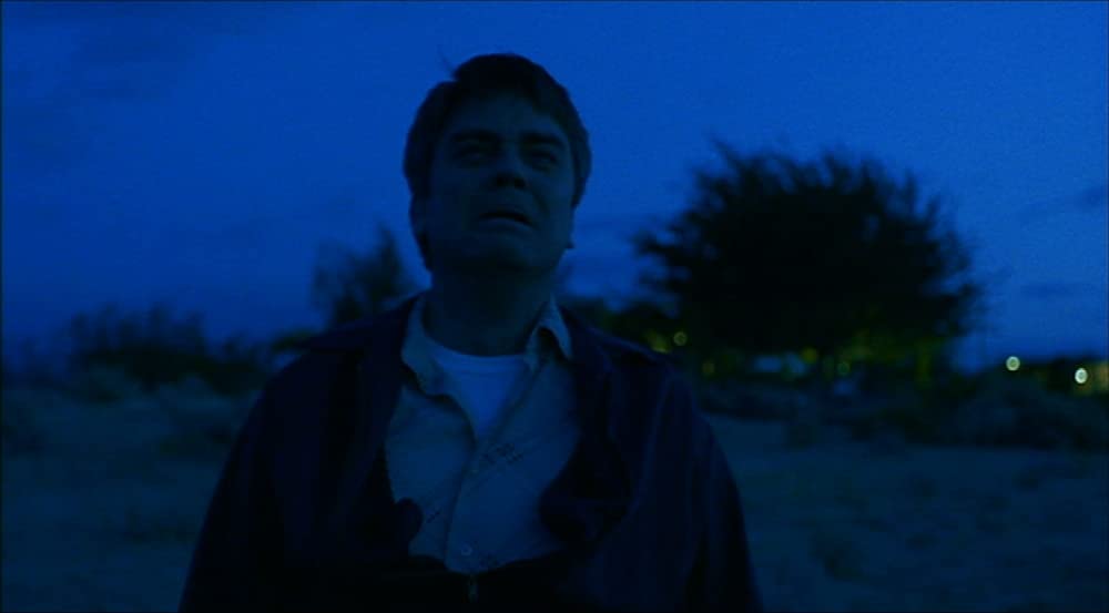 エリン・ブロコビッチの画像