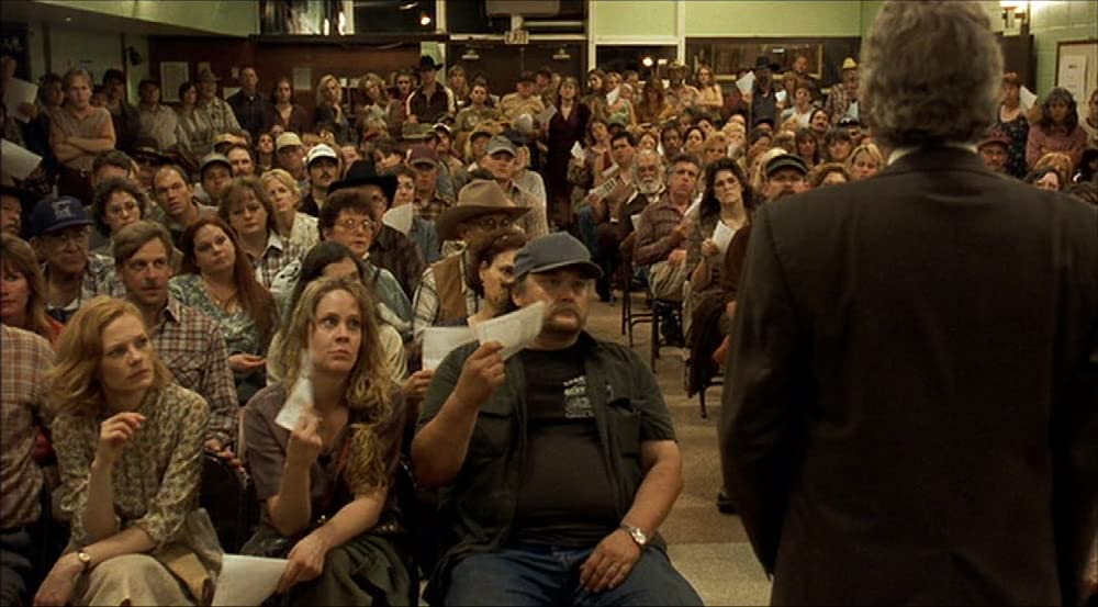 エリン・ブロコビッチの画像