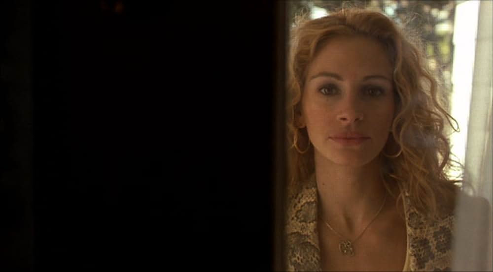 エリン・ブロコビッチの画像