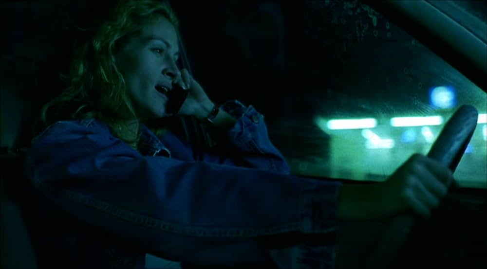 エリン・ブロコビッチの画像