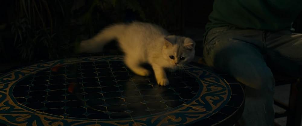 オマールの壁の画像