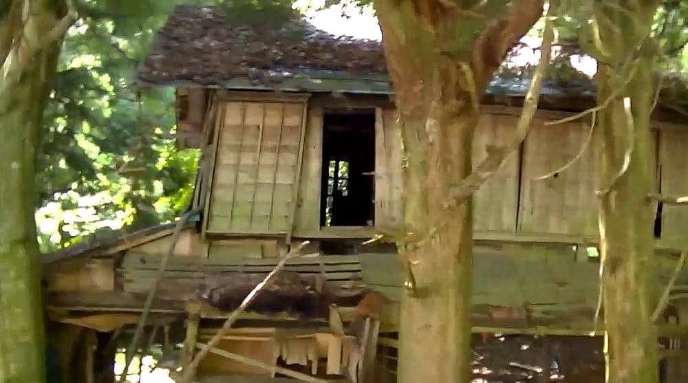 戦慄怪奇ファイル コワすぎ！ 史上最恐の劇場版の画像