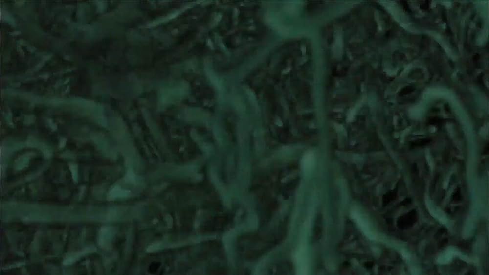 戦慄怪奇ファイル コワすぎ！ 史上最恐の劇場版の画像