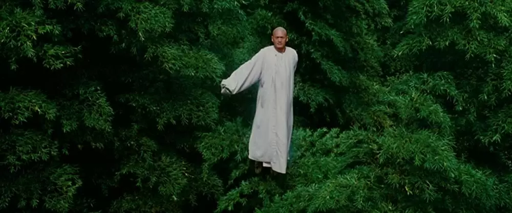 グリーン・デスティニーの画像