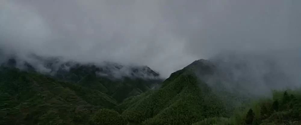 グリーン・デスティニーの画像