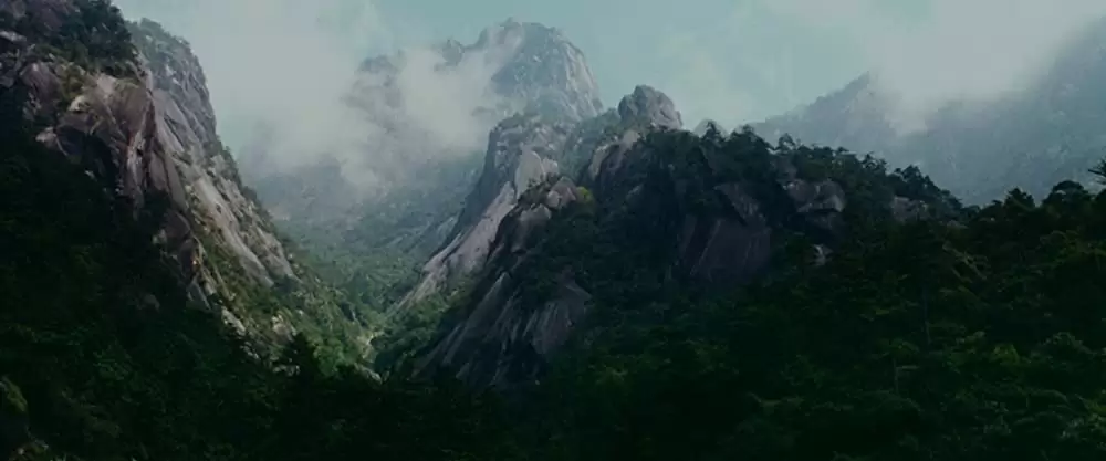 グリーン・デスティニーの画像