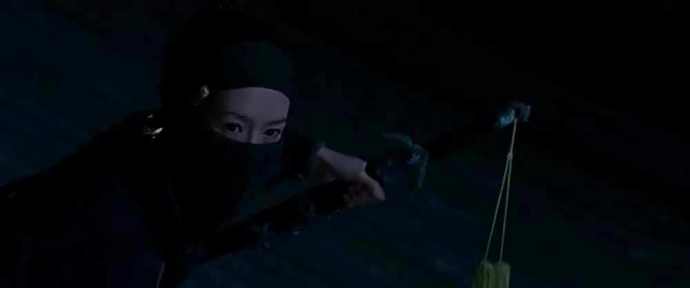 グリーン・デスティニーの画像