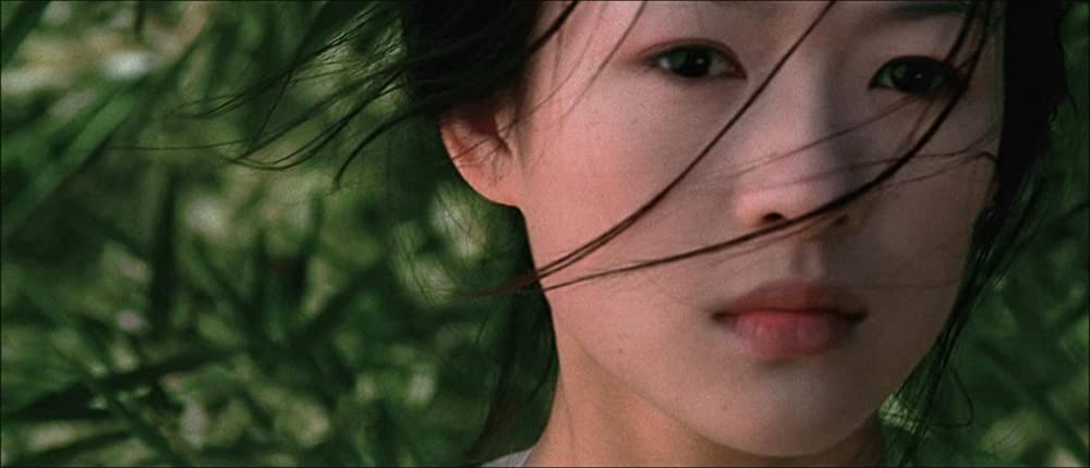 グリーン・デスティニーの画像