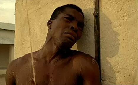 ショコラの画像