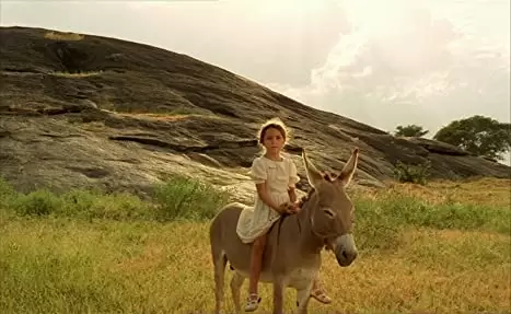 ショコラの画像