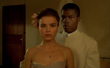 ショコラの画像