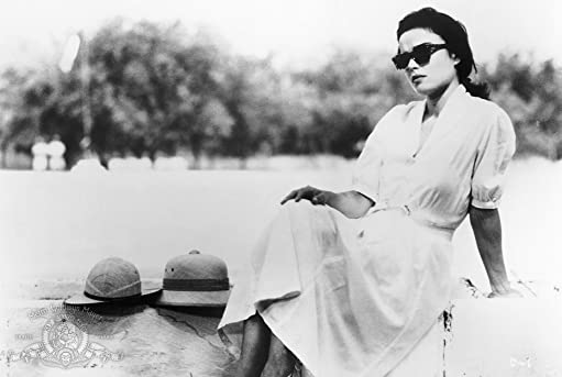 ショコラの画像