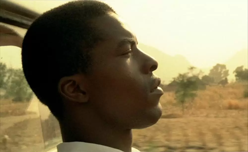 ショコラの画像