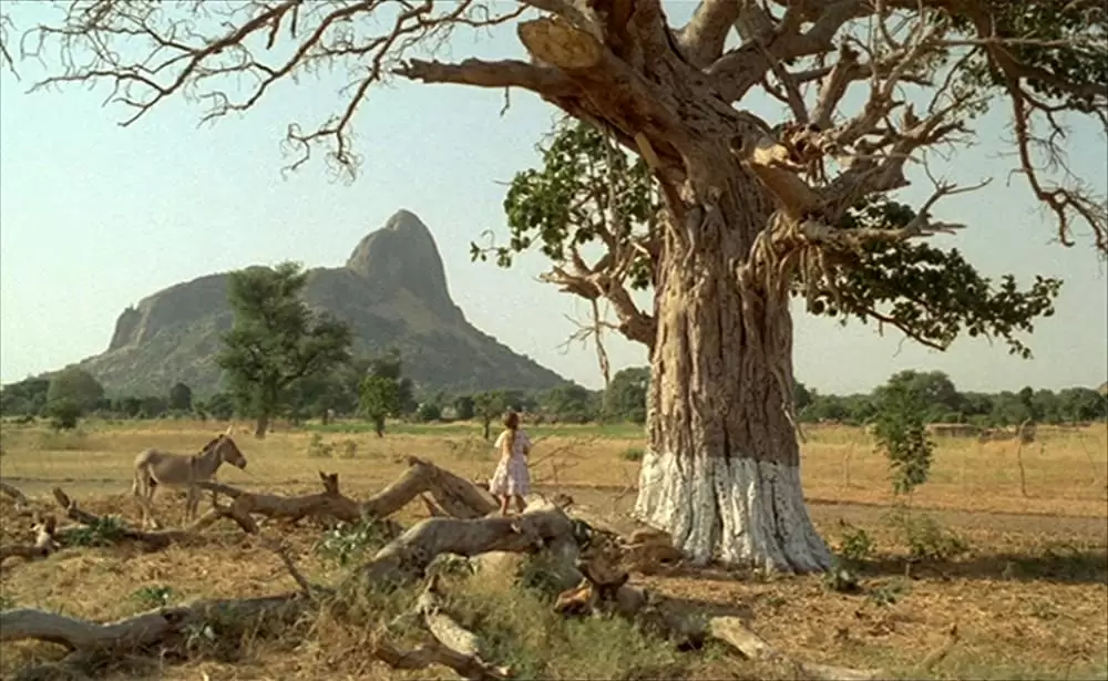 ショコラの画像