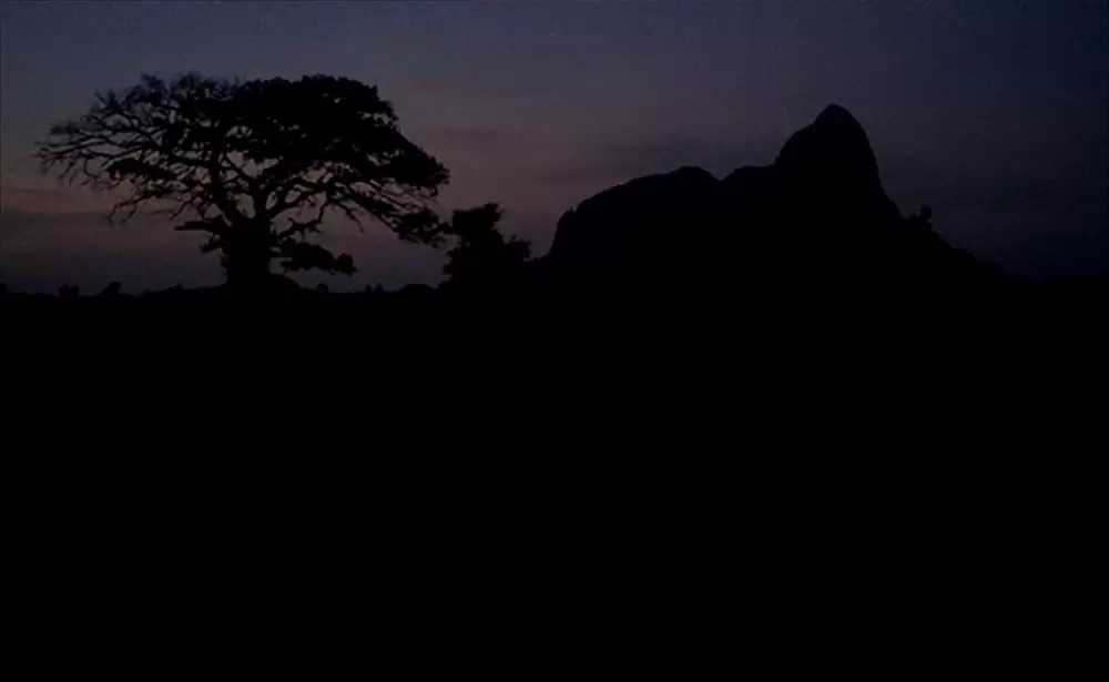 ショコラの画像