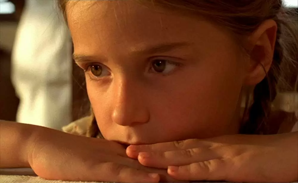 ショコラの画像