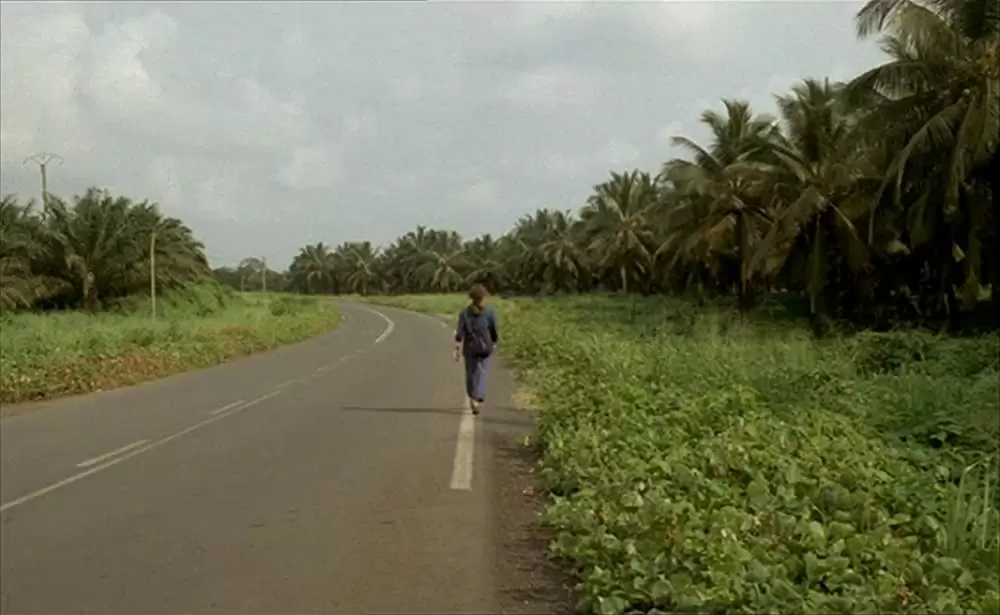 ショコラの画像