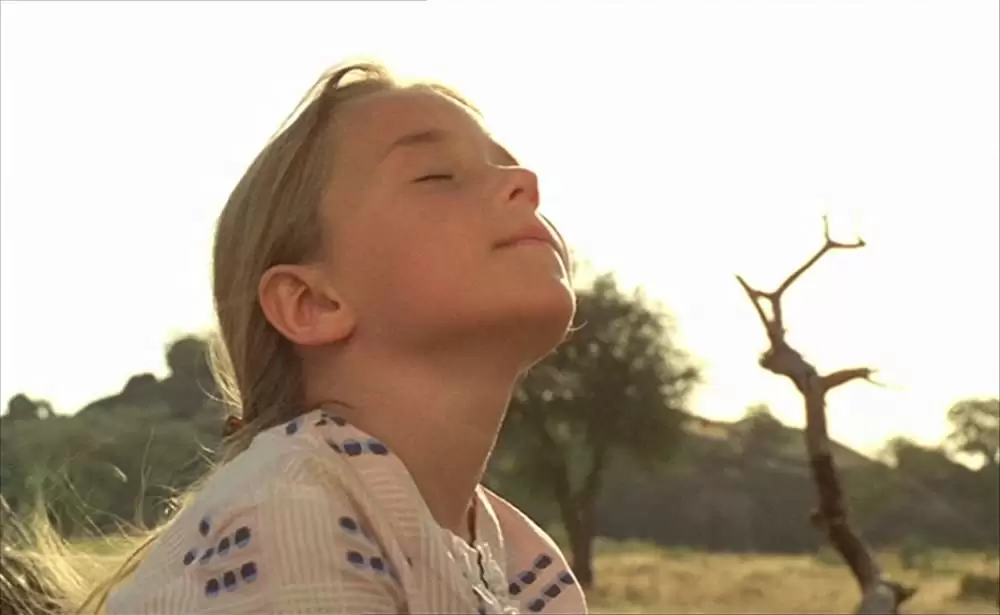 ショコラの画像