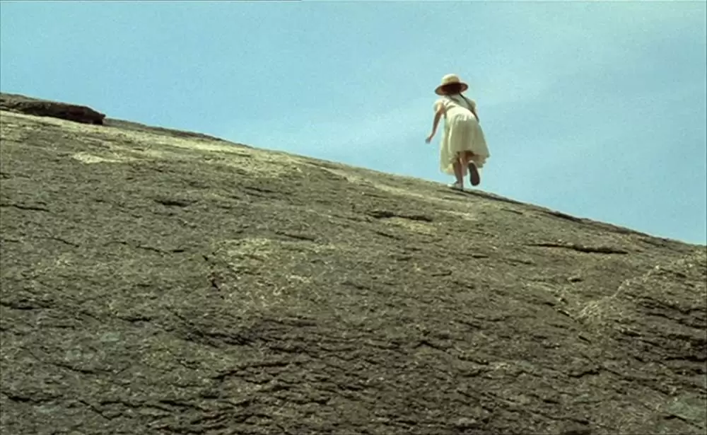 ショコラの画像