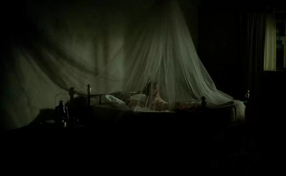 ショコラの画像