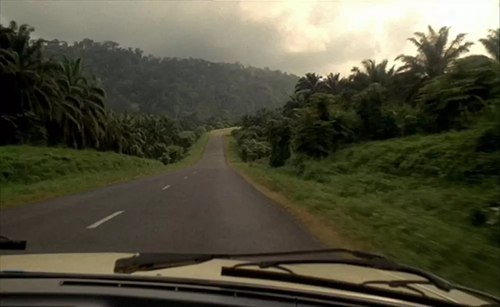 ショコラの画像