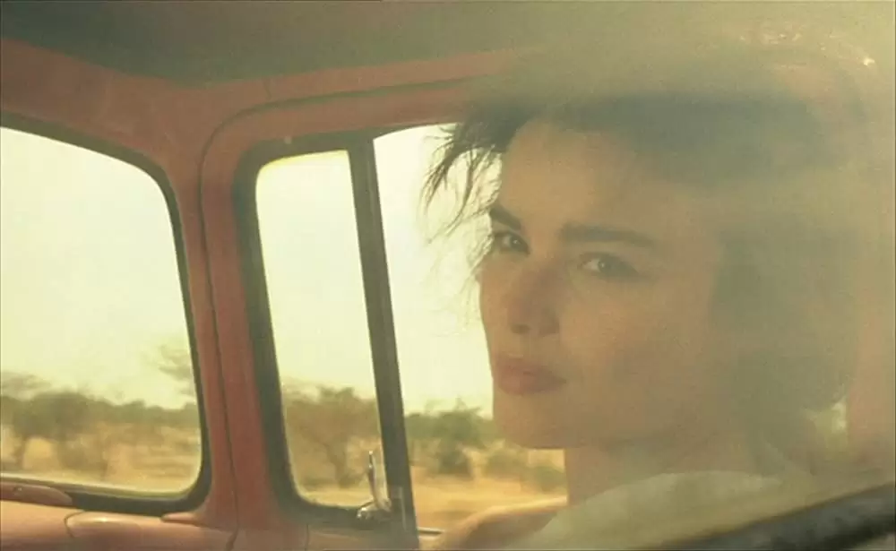 ショコラの画像