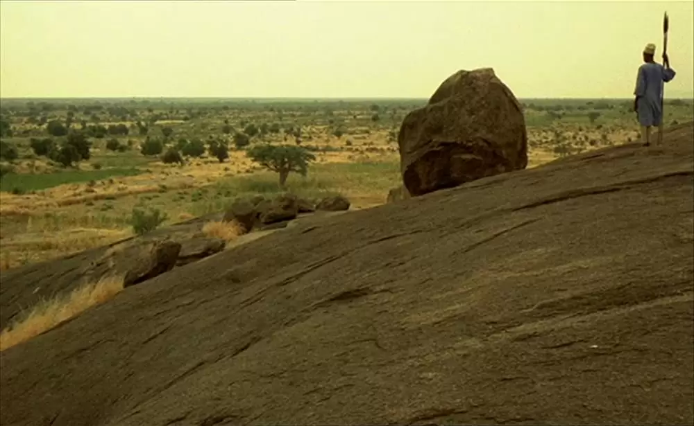 ショコラの画像