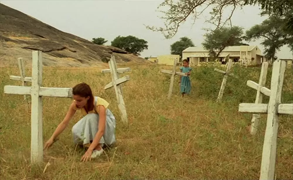 ショコラの画像