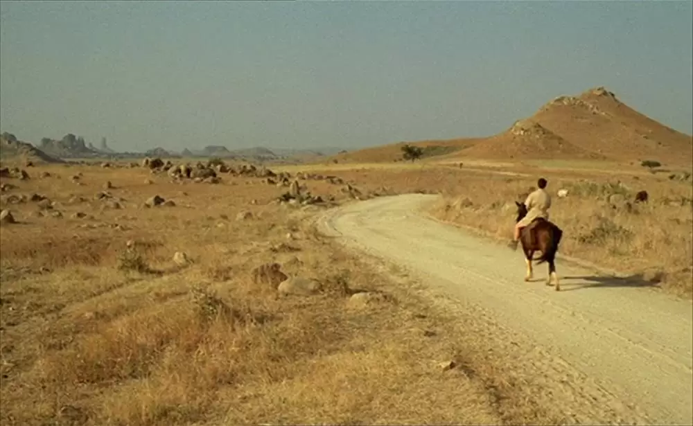 ショコラの画像