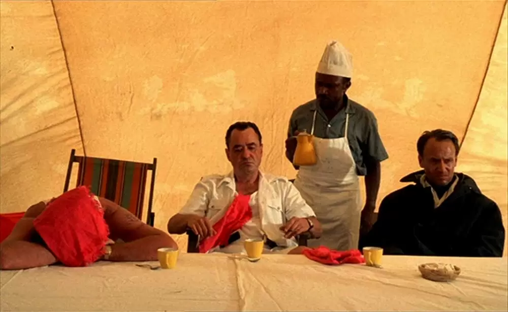 ショコラの画像