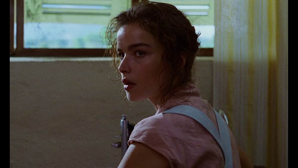 ショコラの画像