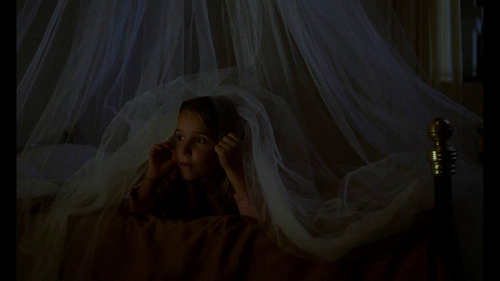 ショコラの画像