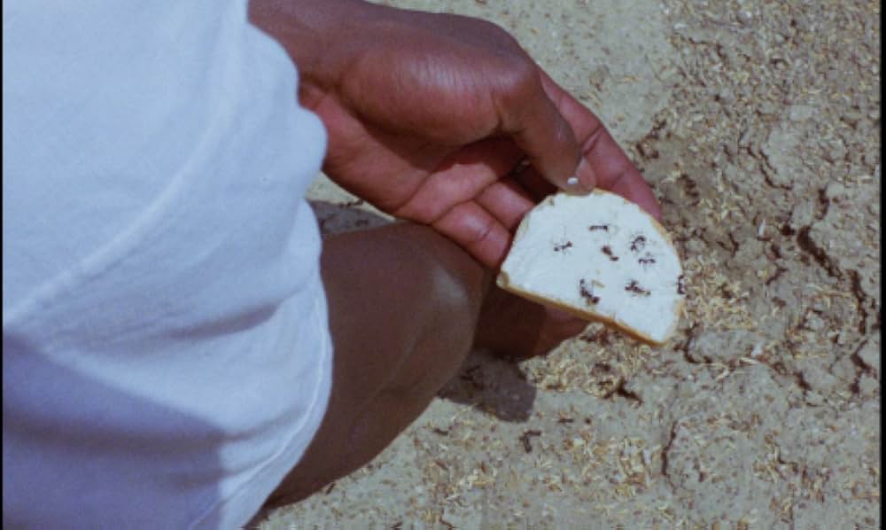 ショコラの画像