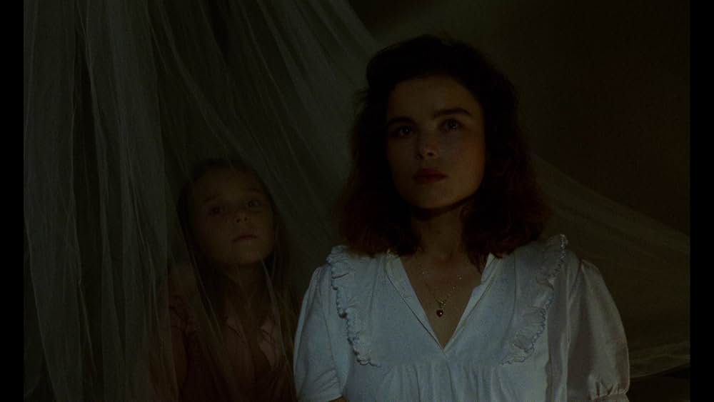 ショコラの画像