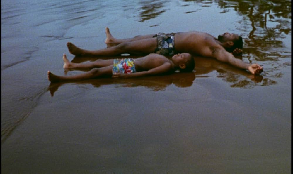 ショコラの画像