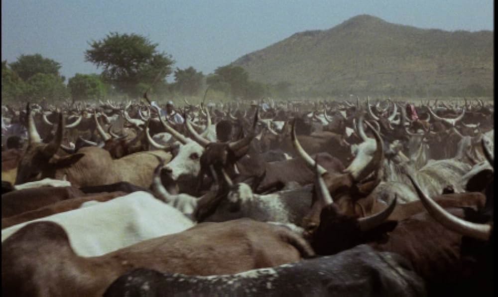 ショコラの画像