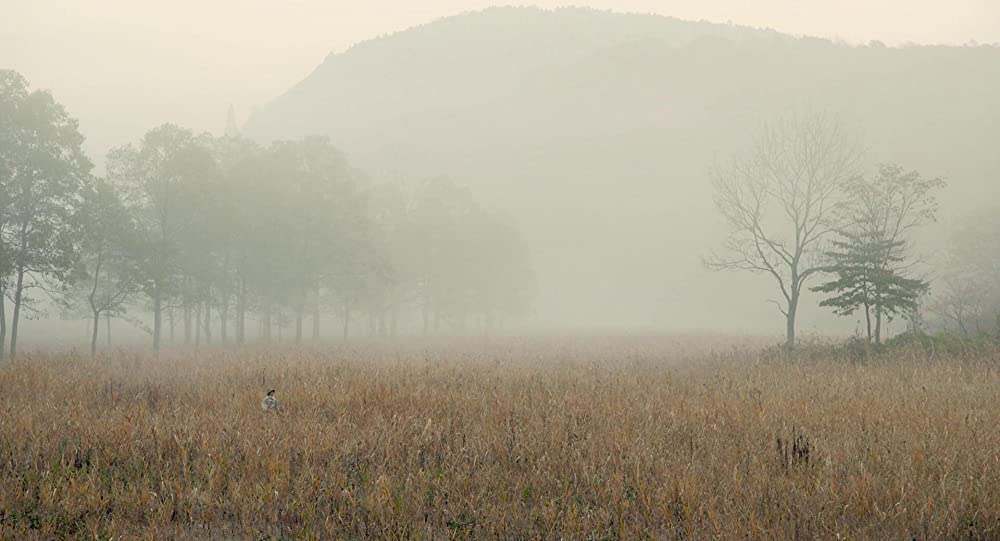 滝を見にいくの画像