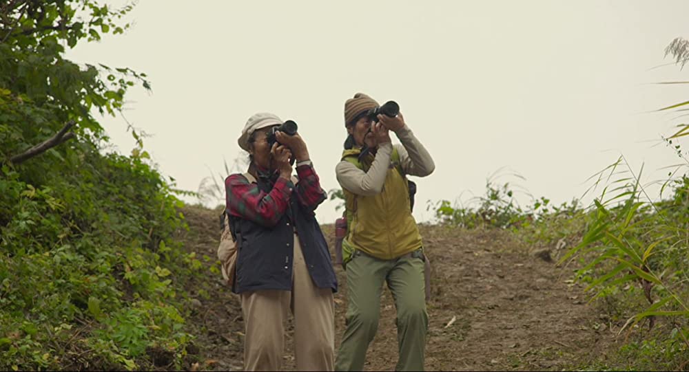 滝を見にいくの画像