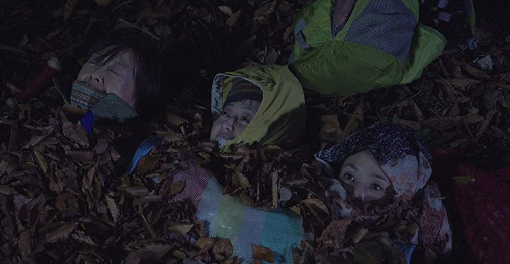 滝を見にいくの画像