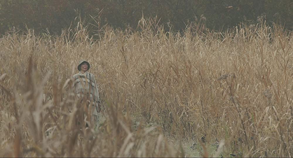 滝を見にいくの画像