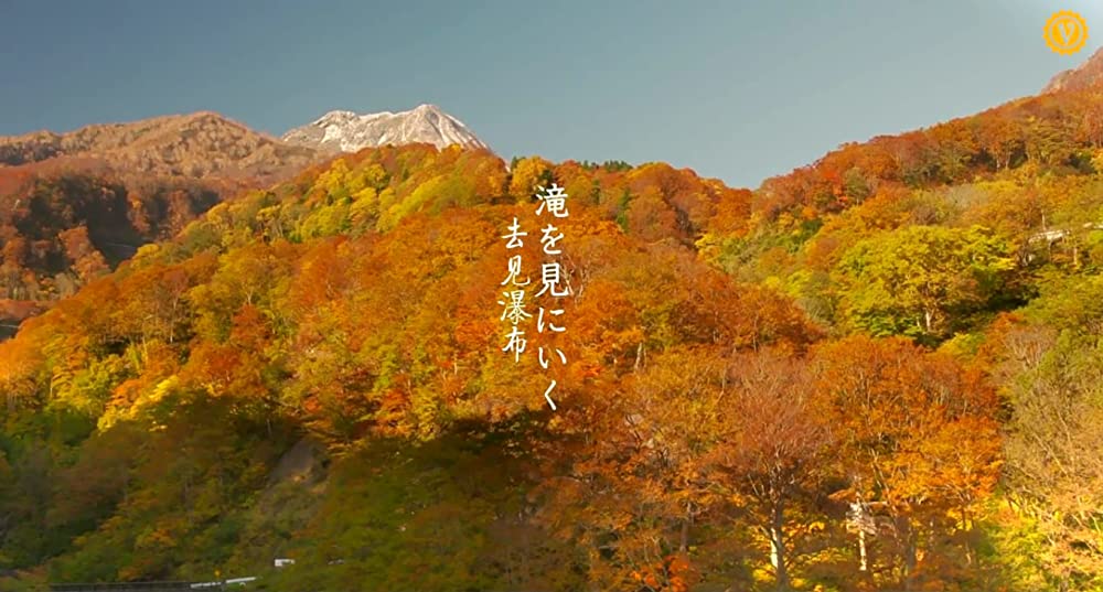 滝を見にいくの画像