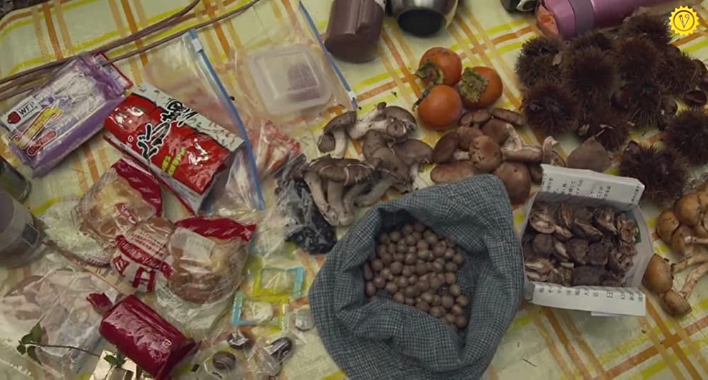 滝を見にいくの画像