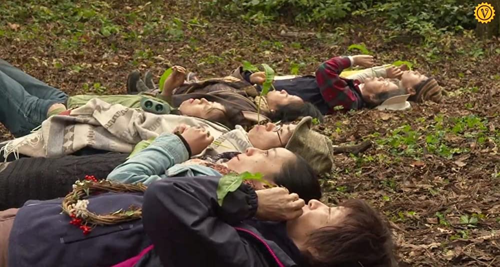 滝を見にいくの画像