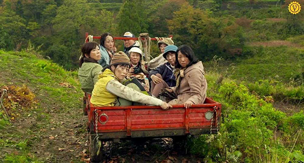 滝を見にいくの画像