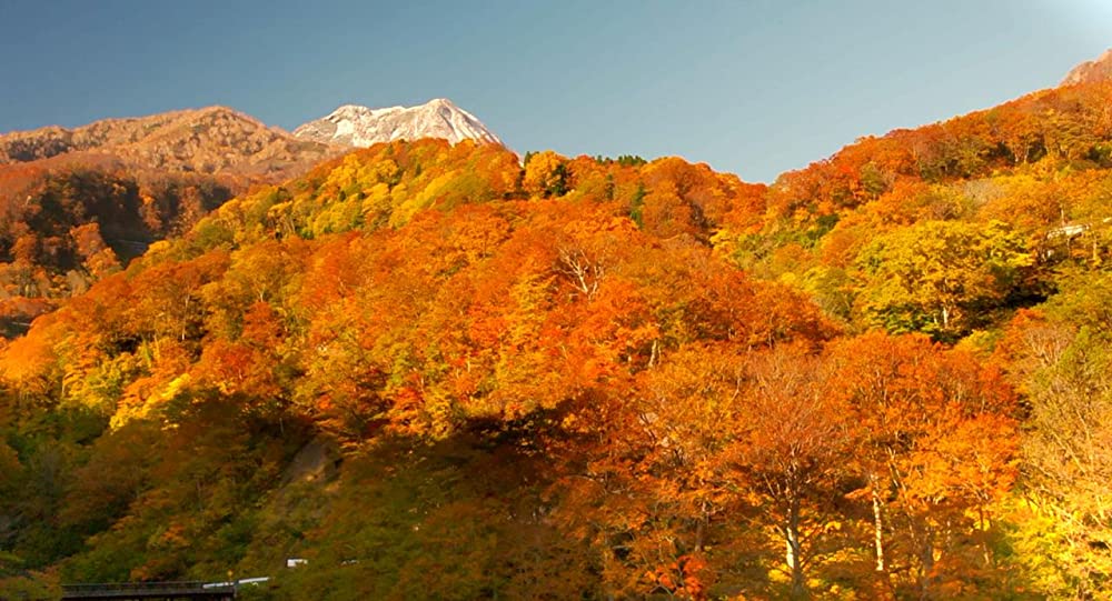 滝を見にいくの画像