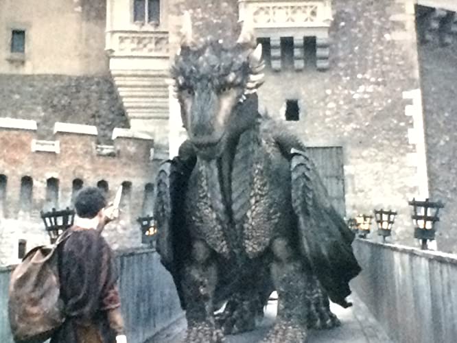 ドラゴンハート ～新章：戦士の誕生の画像