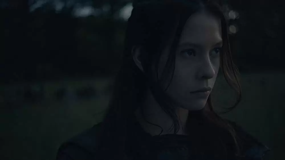 ドラゴンハート ～新章：戦士の誕生の画像